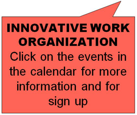 INNOVATIVE ORGANIZATION - Flanders Synergy